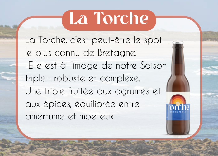 torche site